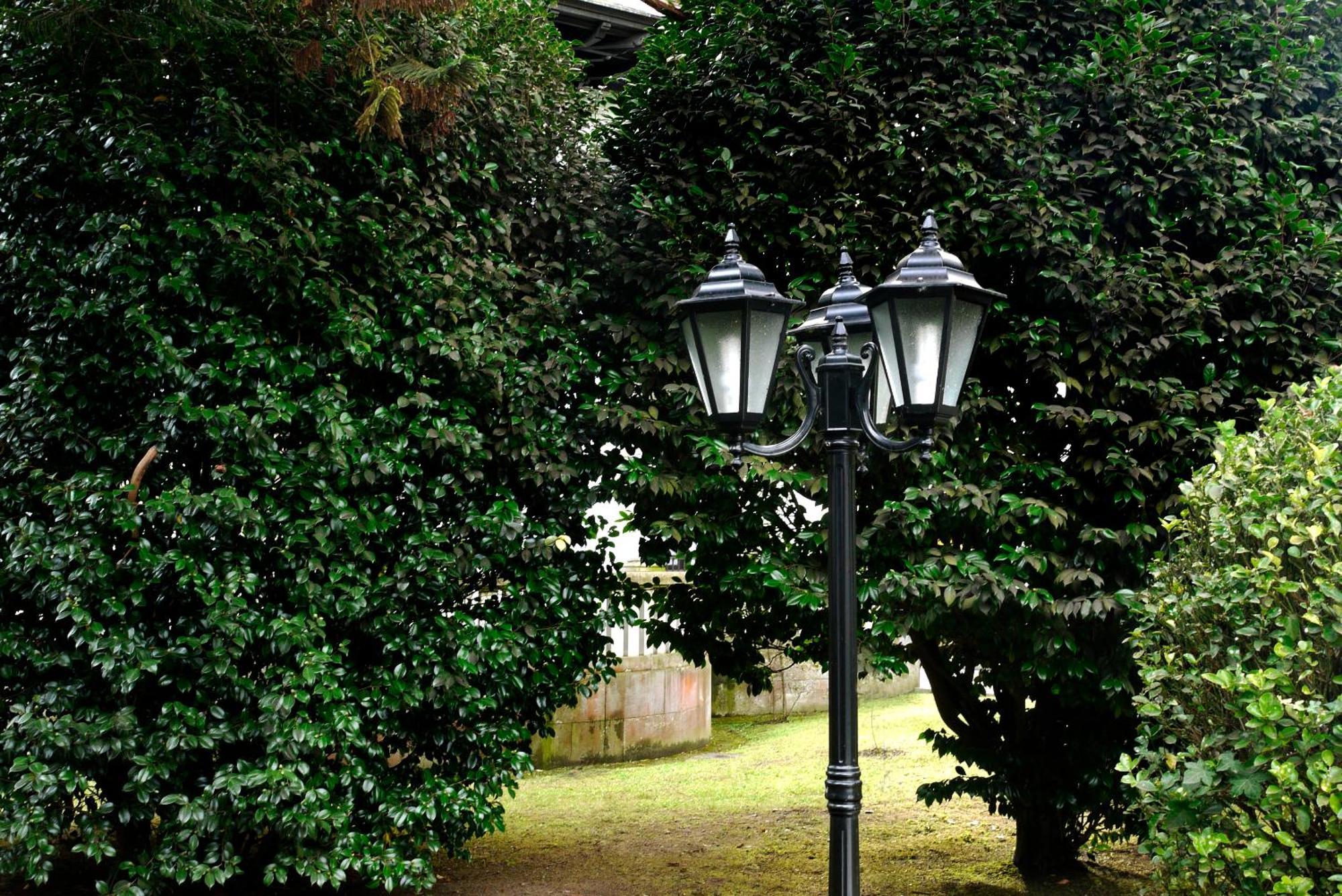 Hotel Y Apartamentos Arias Navia Dış mekan fotoğraf